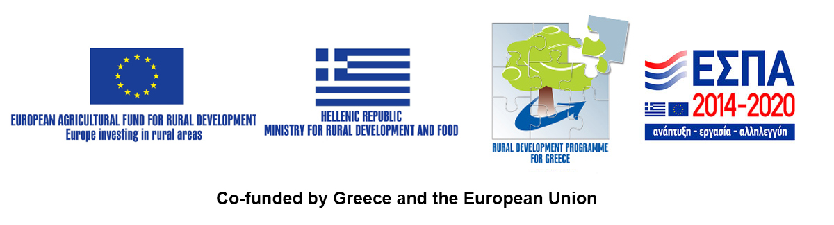Co-founded by Greece and the European Union